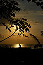 Man in Silhouette